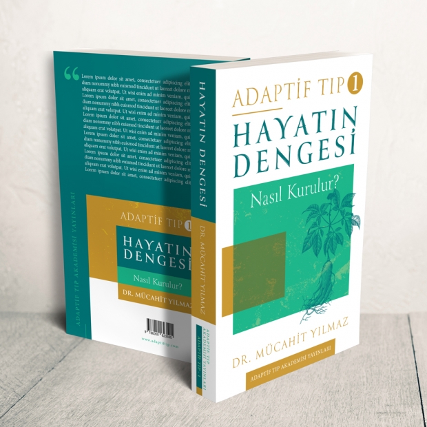 Hayatın Dengesi Nasıl Kurulur? (Kitap)